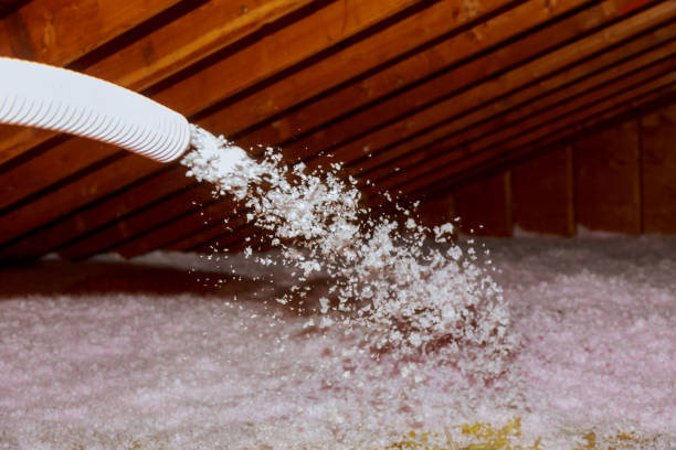Best Specialized Insulation Services in Brookdale, SC