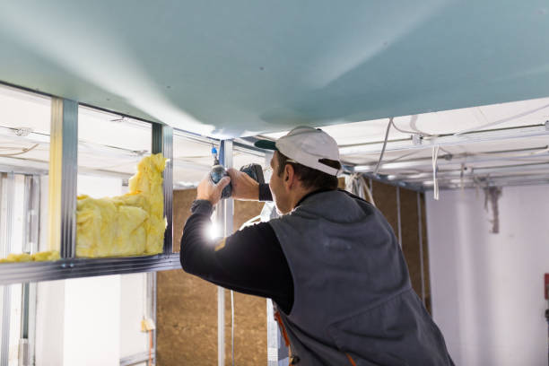 Best Eco-Friendly Insulation in Brookdale, SC