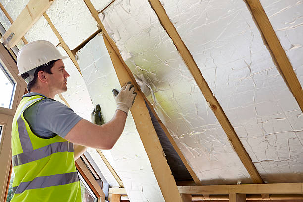 Best Cellulose Insulation in Brookdale, SC